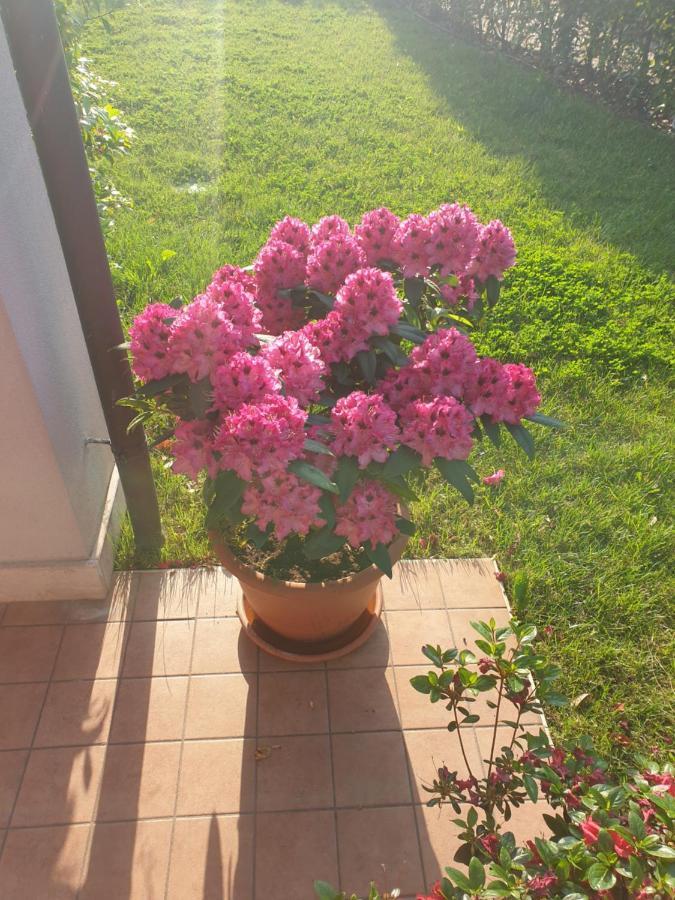 Da Riki Holiday home Peschiera del Garda